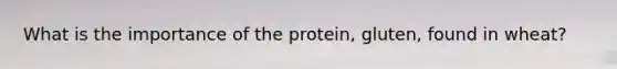 What is the importance of the protein, gluten, found in wheat?