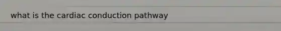 what is the <a href='https://www.questionai.com/knowledge/km9HYGGeec-cardiac-conduction' class='anchor-knowledge'>cardiac conduction</a> pathway