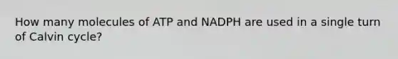 How many molecules of ATP and NADPH are used in a single turn of Calvin cycle?