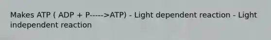 Makes ATP ( ADP + P----->ATP) - Light dependent reaction - Light independent reaction