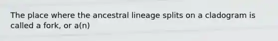 The place where the ancestral lineage splits on a cladogram is called a fork, or a(n)