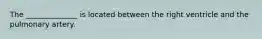 The ______________ is located between the right ventricle and the pulmonary artery.