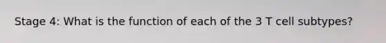 Stage 4: What is the function of each of the 3 T cell subtypes?