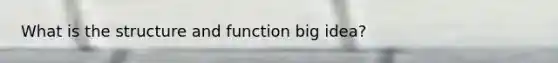 What is the structure and function big idea?