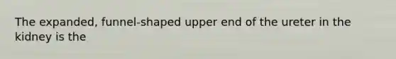 The expanded, funnel-shaped upper end of the ureter in the kidney is the