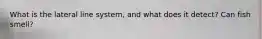 What is the lateral line system, and what does it detect? Can fish smell?