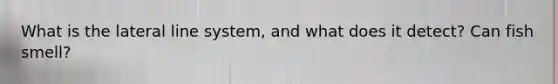 What is the lateral line system, and what does it detect? Can fish smell?