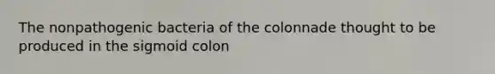 The nonpathogenic bacteria of the colonnade thought to be produced in the sigmoid colon