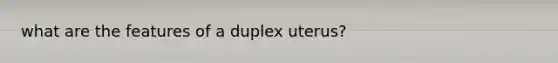 what are the features of a duplex uterus?