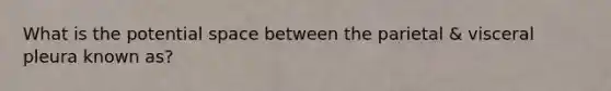 What is the potential space between the parietal & visceral pleura known as?