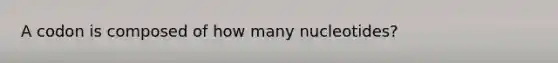 A codon is composed of how many nucleotides?