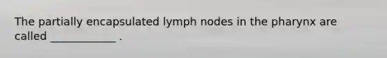 The partially encapsulated lymph nodes in <a href='https://www.questionai.com/knowledge/ktW97n6hGJ-the-pharynx' class='anchor-knowledge'>the pharynx</a> are called ____________ .