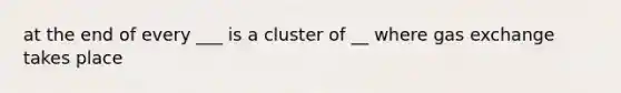 at the end of every ___ is a cluster of __ where <a href='https://www.questionai.com/knowledge/kU8LNOksTA-gas-exchange' class='anchor-knowledge'>gas exchange</a> takes place