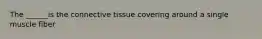 The ______is the connective tissue covering around a single muscle fiber