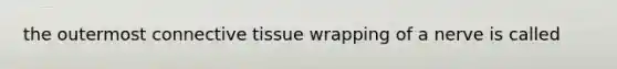 the outermost connective tissue wrapping of a nerve is called