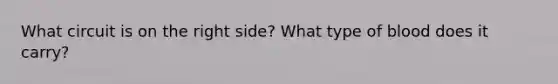 What circuit is on the right side? What type of blood does it carry?