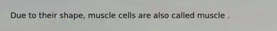 Due to their shape, muscle cells are also called muscle .