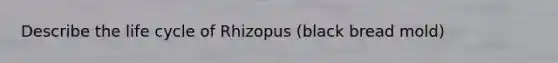 Describe the life cycle of Rhizopus (black bread mold)