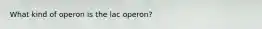 What kind of operon is the lac operon?