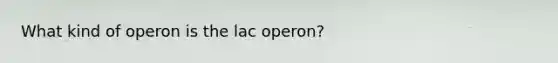 What kind of operon is the lac operon?