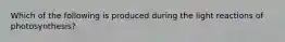 Which of the following is produced during the light reactions of photosynthesis?