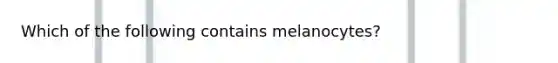 Which of the following contains melanocytes?