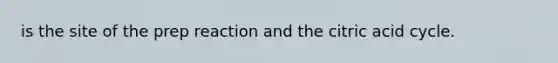 is the site of the prep reaction and the citric acid cycle.