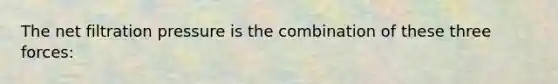 The net filtration pressure is the combination of these three forces: