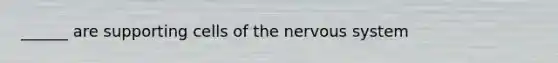 ______ are supporting cells of the <a href='https://www.questionai.com/knowledge/kThdVqrsqy-nervous-system' class='anchor-knowledge'>nervous system</a>