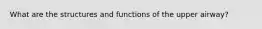 What are the structures and functions of the upper airway?