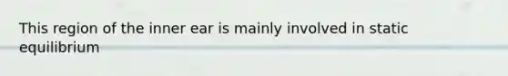 This region of the inner ear is mainly involved in static equilibrium