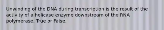 Unwinding of the DNA during transcription is the result of the activity of a helicase enzyme downstream of the RNA polymerase. True or False.