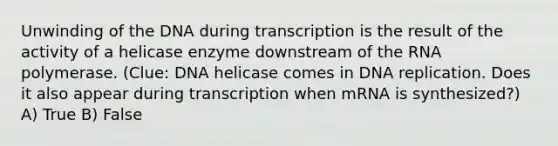 Unwinding of the DNA during transcription is the result of the activity of a helicase enzyme downstream of the RNA polymerase. (Clue: DNA helicase comes in DNA replication. Does it also appear during transcription when mRNA is synthesized?) A) True B) False