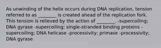 As unwinding of the helix occurs during DNA replication, tension referred to as ________ is created ahead of the replication fork. This tension is relieved by the action of ________. -supercoiling; DNA gyrase -supercoiling; single-stranded binding proteins -supercoiling; DNA helicase -processivity; primase -processivity; DNA gyrase