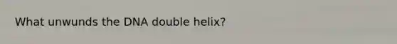 What unwunds the DNA double helix?