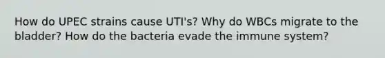 How do UPEC strains cause UTI's? Why do WBCs migrate to the bladder? How do the bacteria evade the immune system?