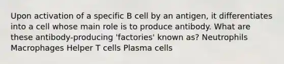 Upon activation of a specific B cell by an antigen, it differentiates into a cell whose main role is to produce antibody. What are these antibody-producing 'factories' known as? Neutrophils Macrophages Helper T cells Plasma cells