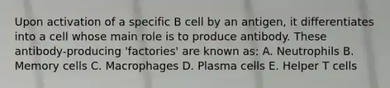 Upon activation of a specific B cell by an antigen, it differentiates into a cell whose main role is to produce antibody. These antibody-producing 'factories' are known as: A. Neutrophils B. Memory cells C. Macrophages D. Plasma cells E. Helper T cells