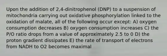 Upon the addition of 2,4-dinitrophenol (DNP) to a suspension of mitochondria carrying out oxidative phosphorylation linked to the oxidation of malate, all of the following occur except: A) oxygen consumption decreases B) oxygen consumption increases C) the P/O ratio drops from a value of approximately 2.5 to 0 D) the proton gradient dissipates E) the rate of transport of electrons from NADH to O2 becomes maximal