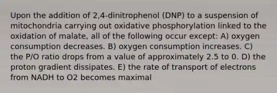 Upon the addition of 2,4-dinitrophenol (DNP) to a suspension of mitochondria carrying out oxidative phosphorylation linked to the oxidation of malate, all of the following occur except: A) oxygen consumption decreases. B) oxygen consumption increases. C) the P/O ratio drops from a value of approximately 2.5 to 0. D) the proton gradient dissipates. E) the rate of transport of electrons from NADH to O2 becomes maximal