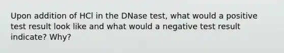 Upon addition of HCl in the DNase test, what would a positive test result look like and what would a negative test result indicate? Why?