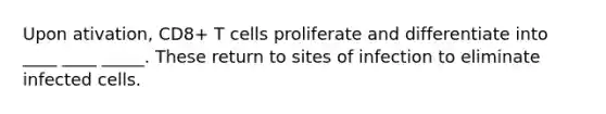 Upon ativation, CD8+ T cells proliferate and differentiate into ____ ____ _____. These return to sites of infection to eliminate infected cells.