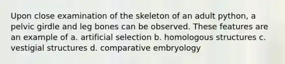 Upon close examination of the skeleton of an adult python, a pelvic girdle and leg bones can be observed. These features are an example of a. artificial selection b. homologous structures c. vestigial structures d. comparative embryology