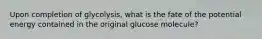 Upon completion of glycolysis, what is the fate of the potential energy contained in the original glucose molecule?