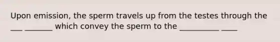 Upon emission, the sperm travels up from the testes through the ___ _______ which convey the sperm to the __________ ____