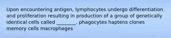 Upon encountering antigen, lymphocytes undergo differentiation and proliferation resulting in production of a group of genetically identical cells called ________. phagocytes haptens clones memory cells macrophages