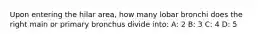 Upon entering the hilar area, how many lobar bronchi does the right main or primary bronchus divide into: A: 2 B: 3 C: 4 D: 5