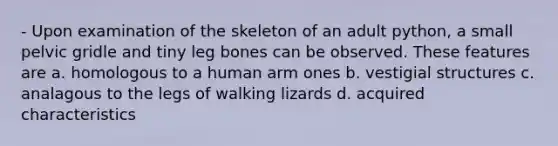 - Upon examination of the skeleton of an adult python, a small pelvic gridle and tiny leg bones can be observed. These features are a. homologous to a human arm ones b. vestigial structures c. analagous to the legs of walking lizards d. acquired characteristics