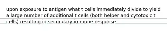 upon exposure to antigen what t cells immediately divide to yield a large number of additional t cells (both helper and cytotoxic t cells) resulting in secondary immune response