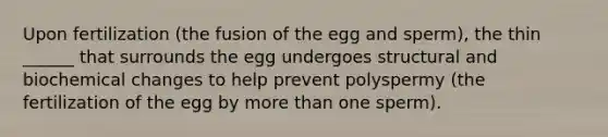 Upon fertilization (the fusion of the egg and sperm), the thin ______ that surrounds the egg undergoes structural and biochemical changes to help prevent polyspermy (the fertilization of the egg by <a href='https://www.questionai.com/knowledge/keWHlEPx42-more-than' class='anchor-knowledge'>more than</a> one sperm).